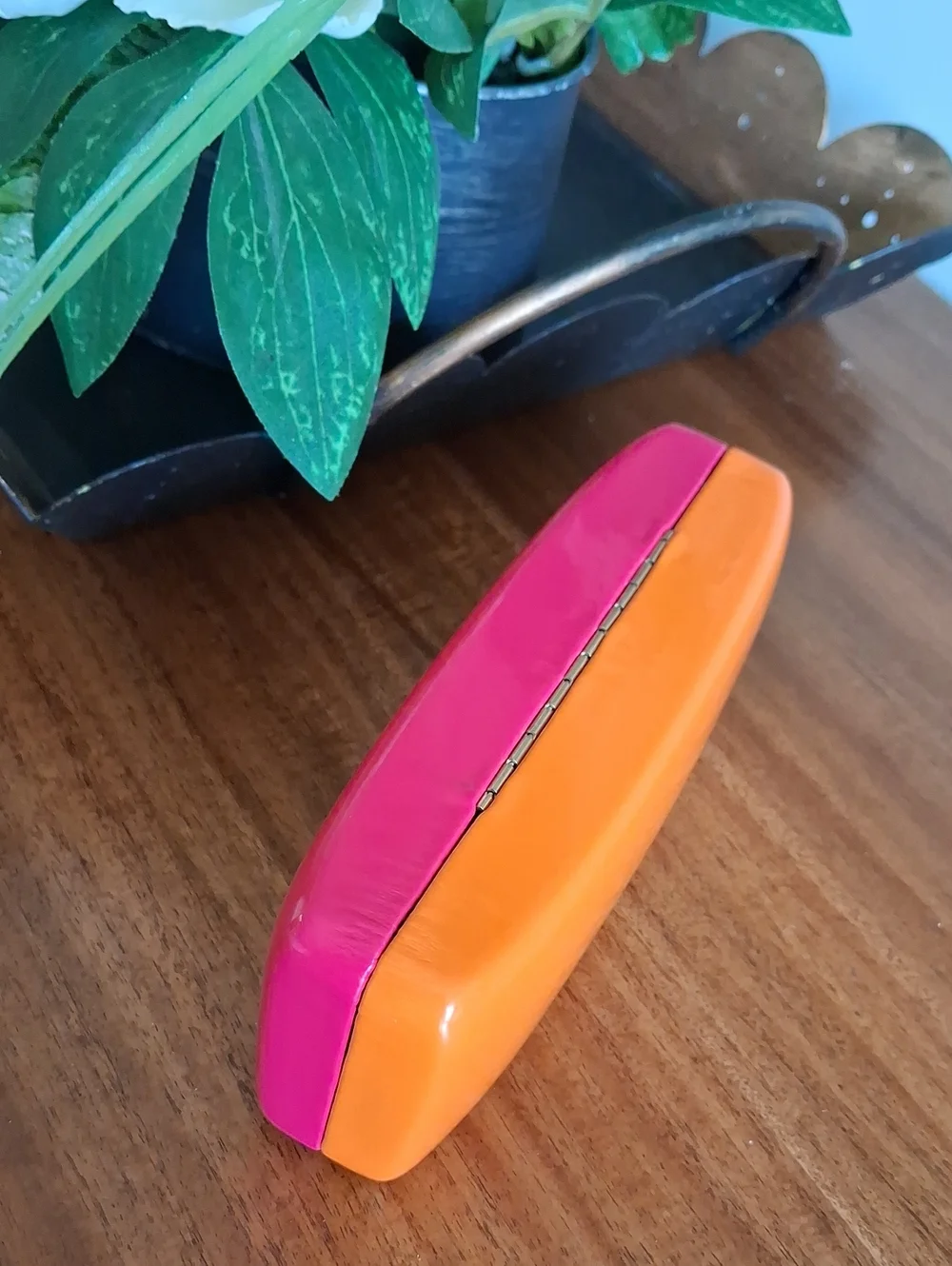 Kate Spade New York Pink Orange Hard Shell Sunglasses Case